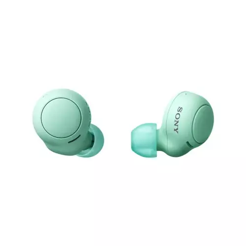 Sony WF-C500 True Wireless Earbuds - 2