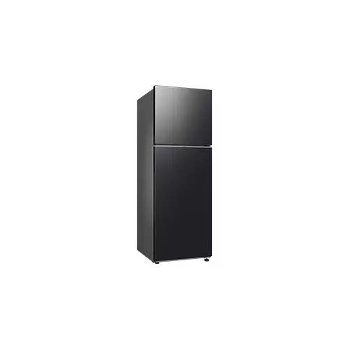 Samsung RT35CG5420B1SE 348L RT35 2-Door Refrigerator - 1