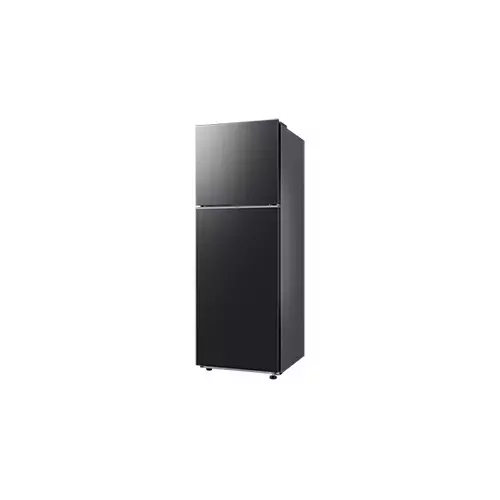 Samsung RT35CG5420B1SE 348L RT35 2-Door Refrigerator - 4