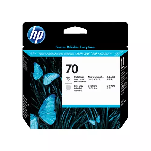 HP 70 Photo Black and Light Gray DESIGNJET PRINTHEAD