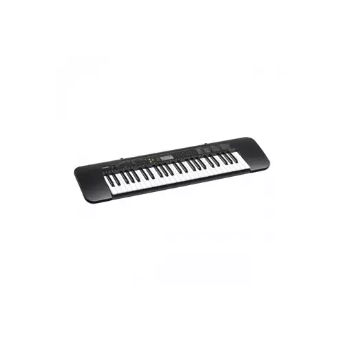 CASIO CTK-240 Standard Musical 49-key Keyboard with AC Adaptor - 1