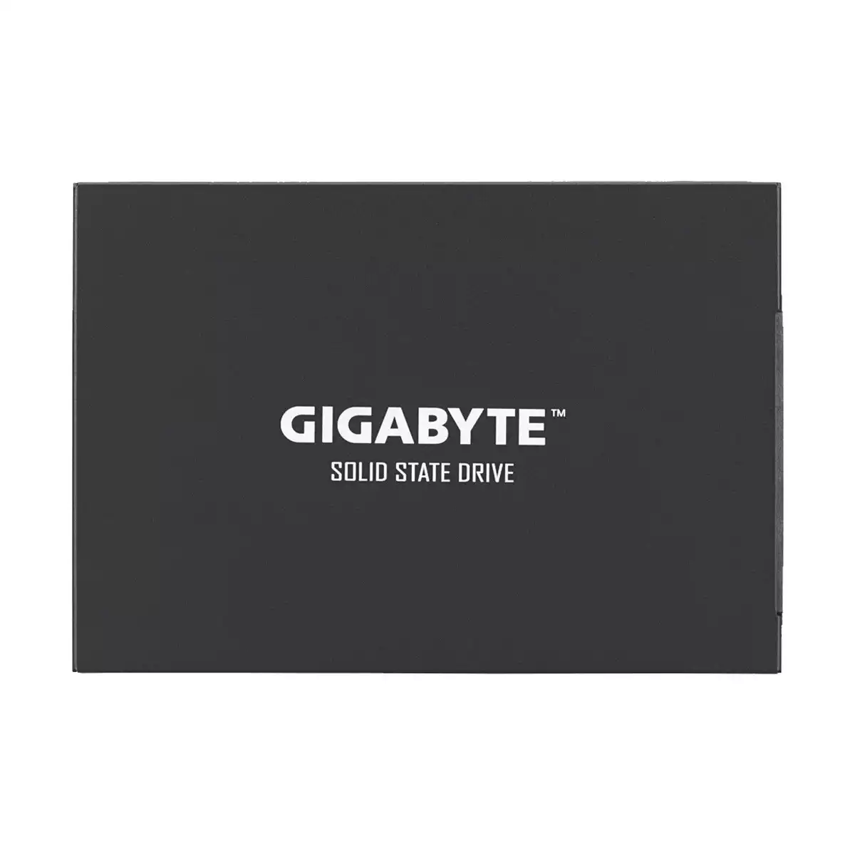 Gigabyte 256GB 2.5 Inch SATAIII SSD