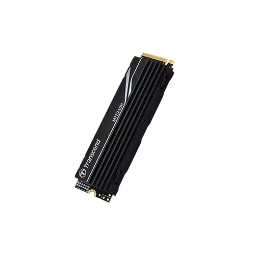 TRANSCEND 250H 1TB NVME PCIE SSD (TS1TMTE250H) - 1