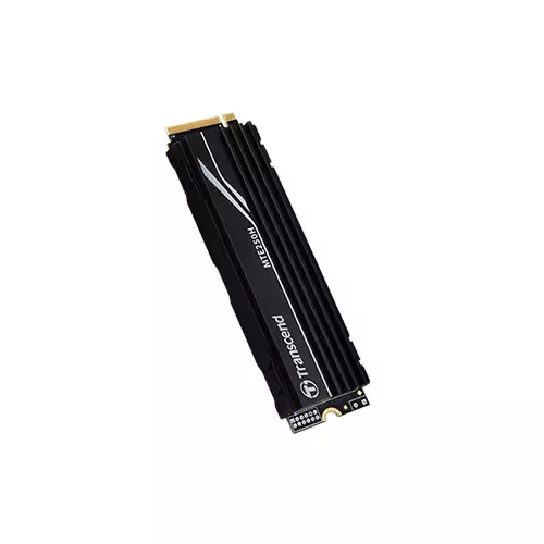 TRANSCEND 250H 1TB NVME PCIE SSD (TS1TMTE250H) - 2