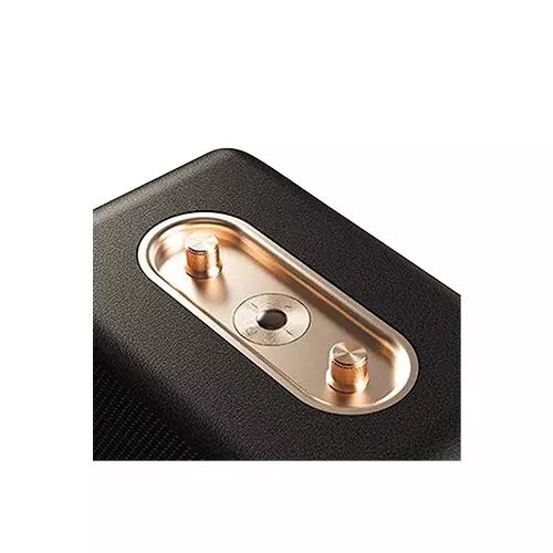 F&D RW40 40W Portable Bluetooth Speaker - 2