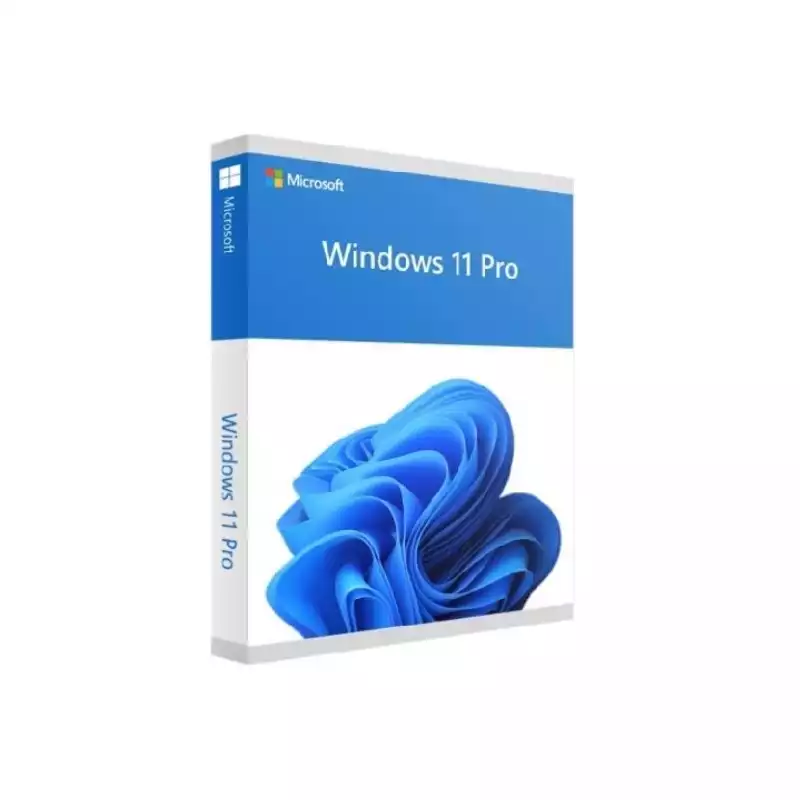 MICROSOFT WINDOWS 11 PROFESSIONAL 64 BIT ENG INTL 1PK DSP OEI DVD