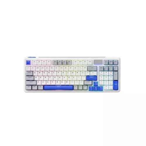 Rapoo V700DIY-98 Multi-Mode Backlit Mechanical Gaming Keyboard
