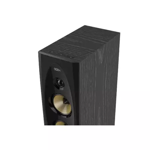 F&D T-60X PRO PEAK BLUETOOTH TOWER SPEAKER (Wireless Mic) - 1