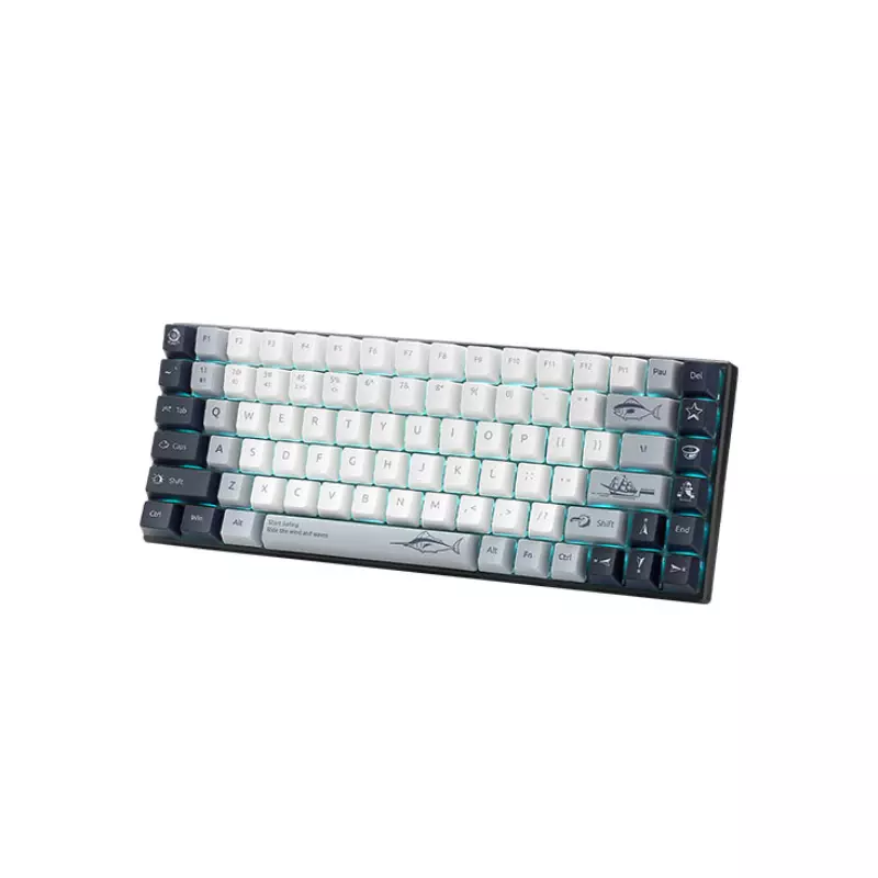 RAPOO MT510PRO BACKLIT MECHANICAL SILVER SWITCH KEYBOARD - 2