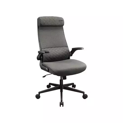 Cougar Stryder Gaming Chair (Grey) - 1