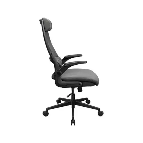Cougar Stryder Gaming Chair (Grey) - 2