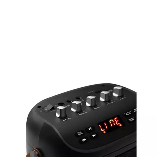 Edifier PK305 Professional stage-level Portable Speaker - 2