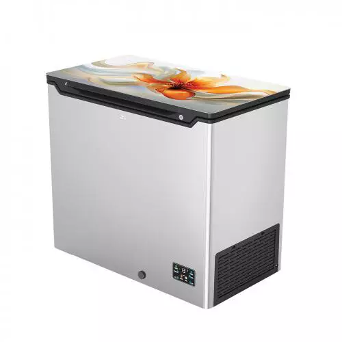 Walton WCF-2A0-GSRE-XX-P Inverter 210L Direct Cool Freezer - 2