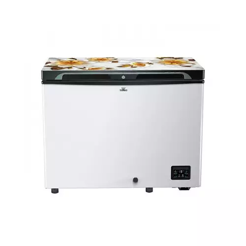 Walton WCG-2E5-GDEL-DD Inverter 255L Direct Cool Freezer - 1