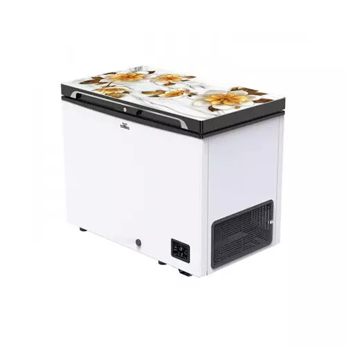 Walton WCG-2E5-GDEL-DD Inverter 255L Direct Cool Freezer - 2