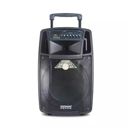 Temeisheng SL08-01 Trolley Speaker