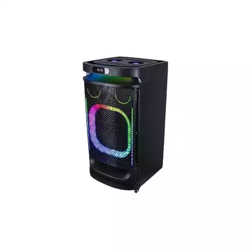 TEMEISHENG SK900S 2pcs wireless hand mic TROLLEY SPEAKER
