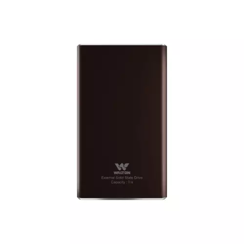WALTON ANTIQUE 1TB M.2 SATA PORTABLE EXTERNAL SSD - 1