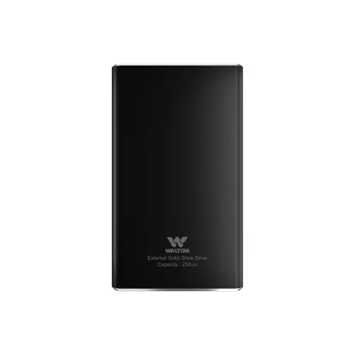 WALTON ANTIQUE 256GB M.2 SATA PORTABLE EXTERNAL SSD - 1