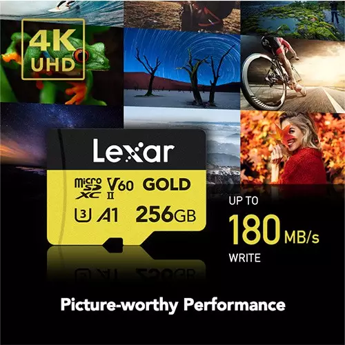 Lexar Professional GOLD 256GB microSDXC UHS-II Memory Card - 1