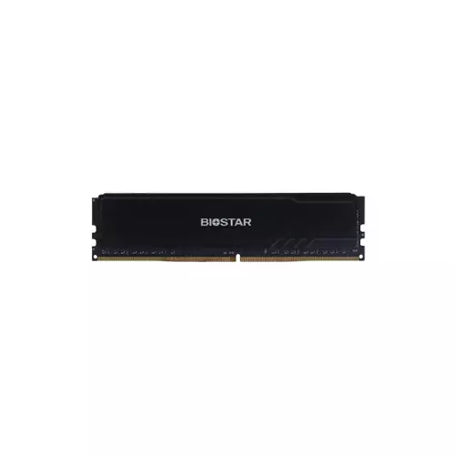 Biostar Storming V 8GB DDR4 CL16 3200MHz Desktop RAM - 2