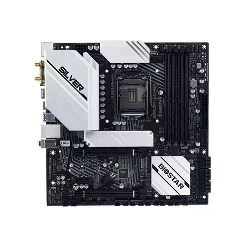 BioStar B560M-SILVER 10th & 11th Gen Micro ATX Intel Motherboard - 1