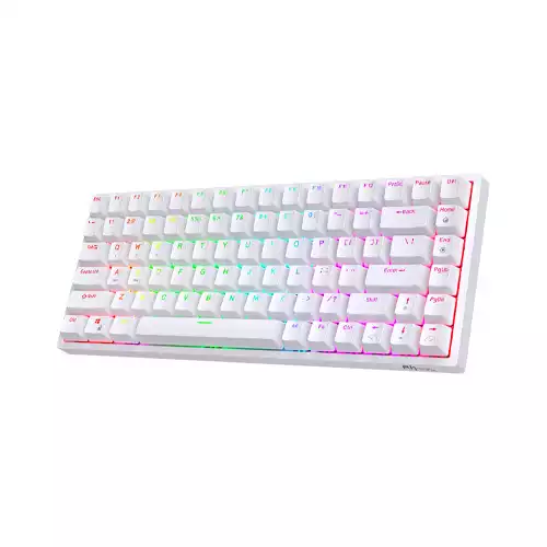 RK ROYAL KLUDGE RK84 RGB Wireless Mechanical Gaming Keyboard (Blue Switch)