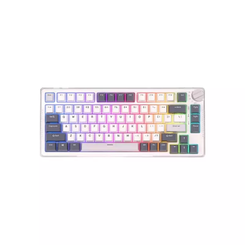 ROYAL KLUDGE RK H81 TRI MODE RGB HOT SWAP MECHANICAL KEYBOARD - White 