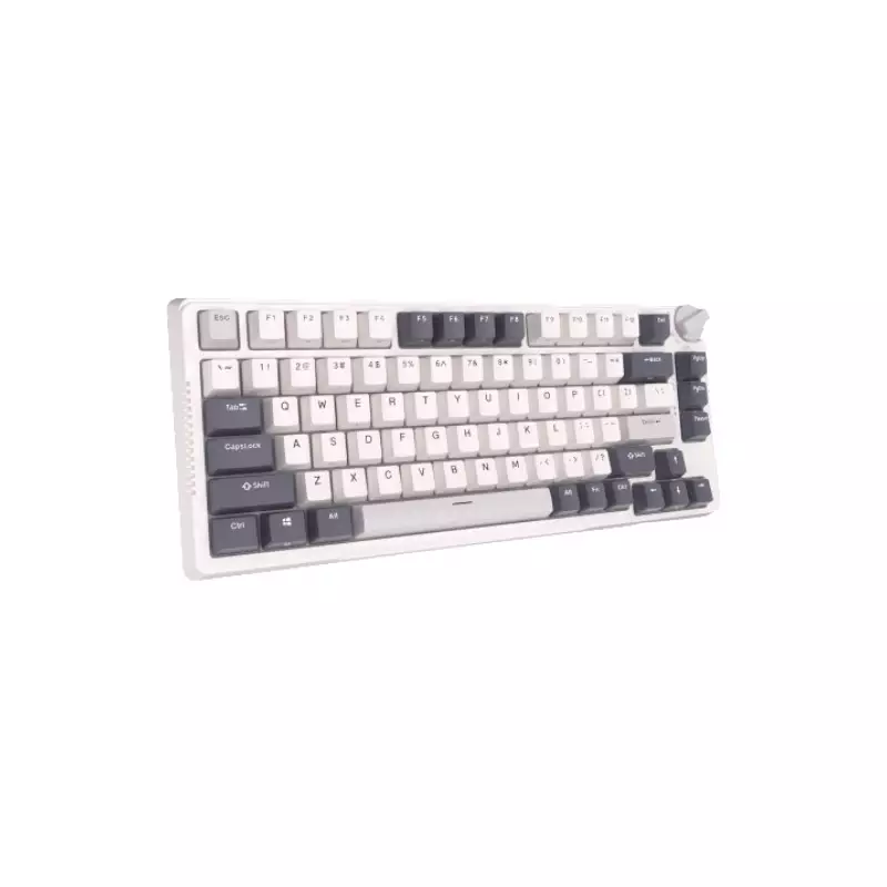 ROYAL KLUDGE RK H81 TRI MODE RGB HOT SWAP MECHANICAL KEYBOARD - White  - 2