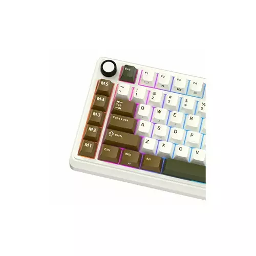 ROYAL KLUDGE RK L75 Hot Swappable Tri Mode Mechanical Gaming Keyboard - Palm Green - 1