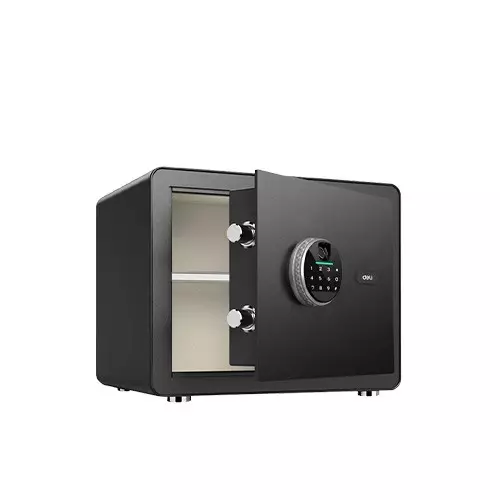 Deli ET630 Fingerprint Password Safe Box