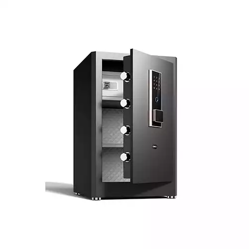 Deli ET596 Fingerprint Password Safe Box