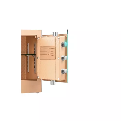 Deli 4117G Fingerprint & Digital Safe Box with Locker - 2