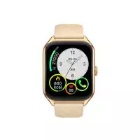 Zeblaze GTS 4 1.94 inch AMOLED Bluetooth Calling Smart Watch (Gold)