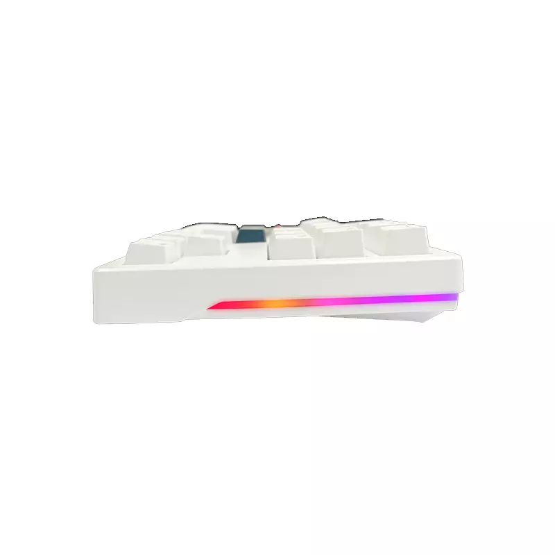 DAREU EK87 V2 WIRED BLUE SWITCH RAINBOW WHITE KEYBOARD - 2