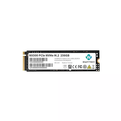 BIWINTECH NX500 256GB PCIE M.2 NVME SSD - 1