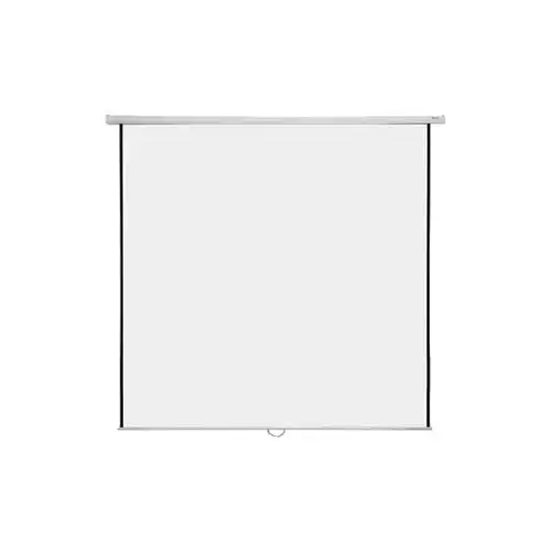 Super View 70 x 70 Inch Wall Projector Screen