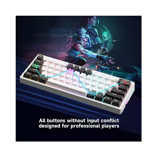 Zifriend AG61 Gasket Side RGB Yellow Switch streamer Mechanical Keyboard (Blue&White&Purple) - 2