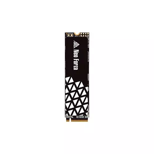 NEO FORZA NFP045 1TB M.2 2280 INTERNAL SSD
