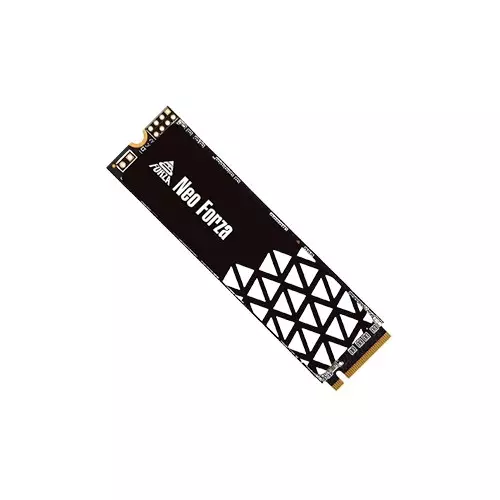 NEO FORZA NFP045 1TB M.2 2280 INTERNAL SSD - 1
