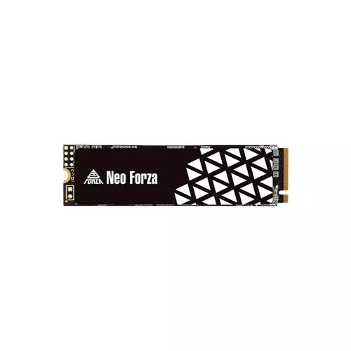 NEO FORZA NFP045 1TB M.2 2280 INTERNAL SSD - 2