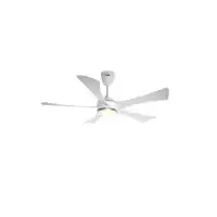 Qulik Falcon UL 53-inch Decorative BLDC Ceiling Fan with Light