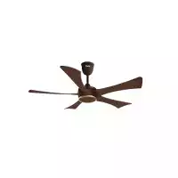 Qulik Falcon 53 inch Decorative Silent Ceiling Fan Remote