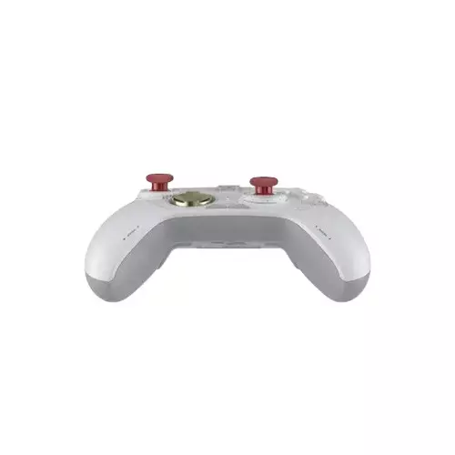 Aolion AL-NS228603 Wireless Gaming Controller - 1