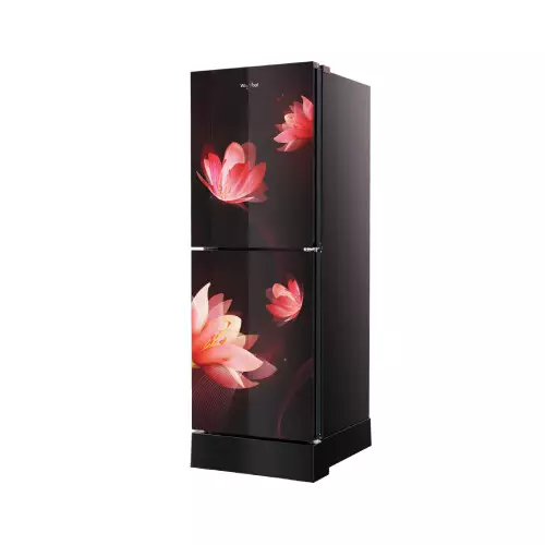Whirlpool Fresh Magic Pro 257L Florina Red Refrigerator - 2