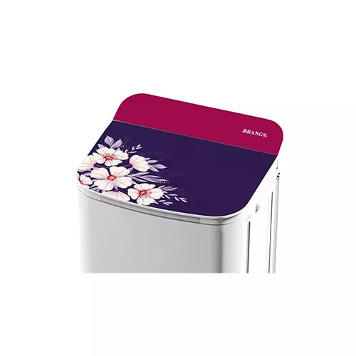 Rangs RW-56 6 KG Washing Machine - 2