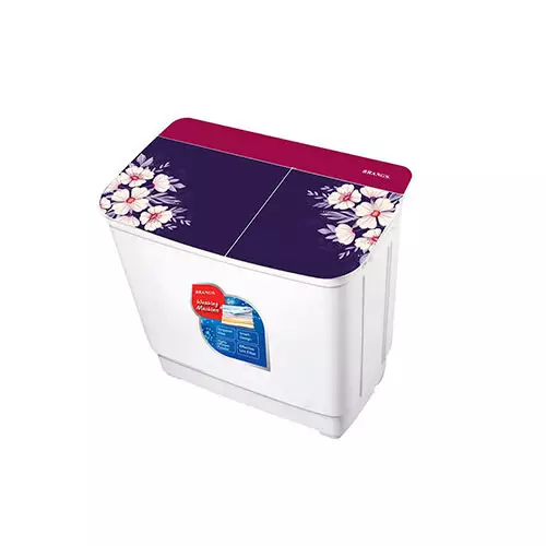 RANGS RW-9W-DD 9 KG Washing Machine - 2